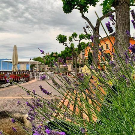 Villa Corteolivo Rooms ตอร์รีเดลเบนาโก ภายนอก รูปภาพ