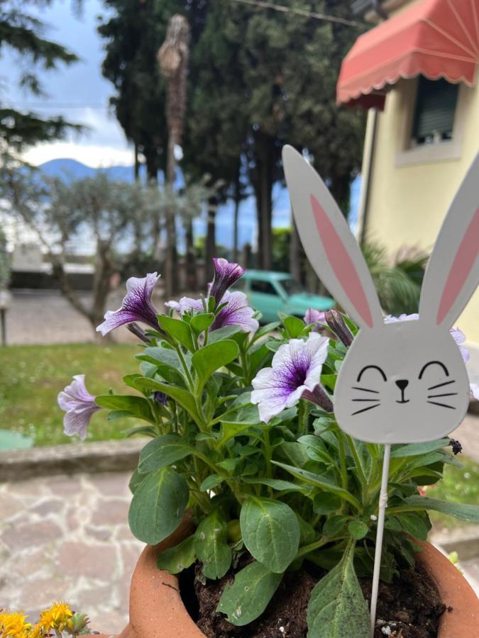 Villa Corteolivo Rooms ตอร์รีเดลเบนาโก ภายนอก รูปภาพ